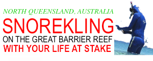 snorkeling great barrier reef australia